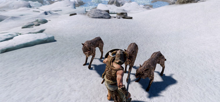 Pack of Wolves in Skyrim (preview)