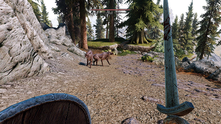 Wolves encountered on the way to Whiterun / Skyrim
