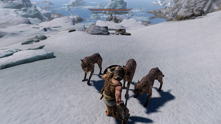Wolves attacking in a pack of 3 / Skyrim