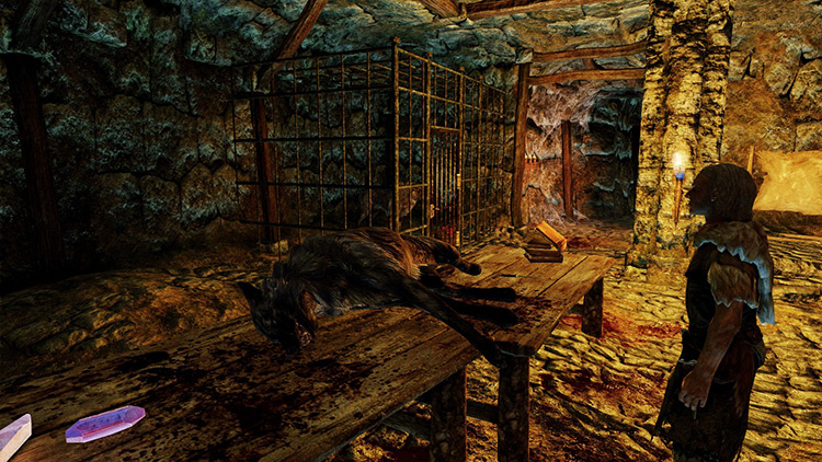 Wolves found in cages in Faldar’s Tooth / Skyrim