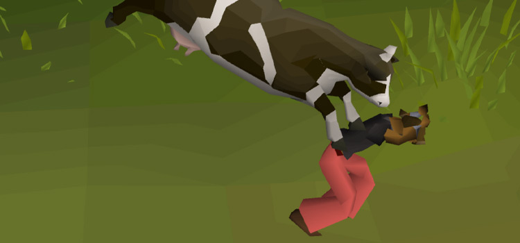 Cow Teleport Close-up Screenshot (OSRS)