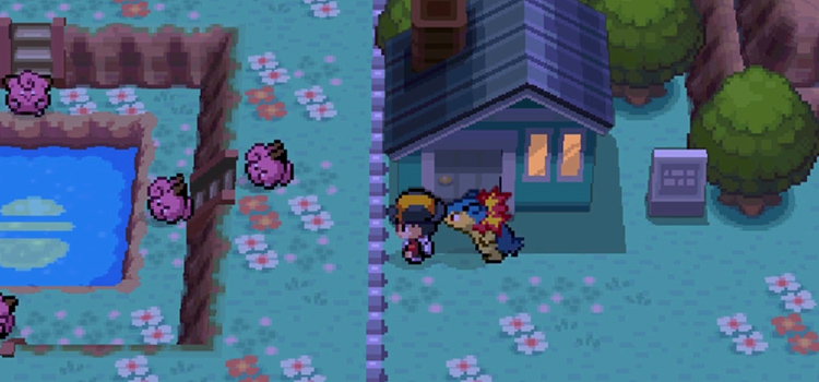 Clefairy at Mt. Moon Square (Pokémon SoulSilver)