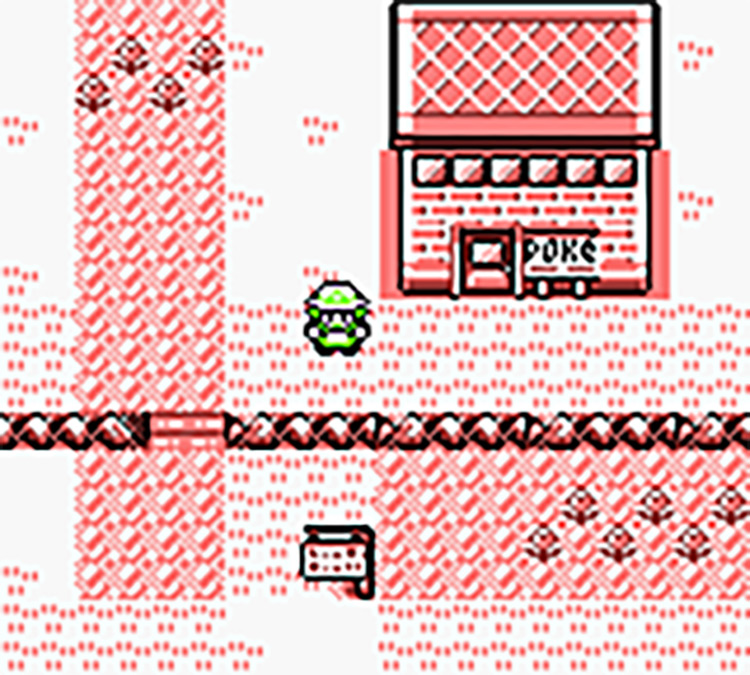 pokemon red nes rom