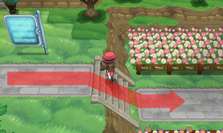 The flower garden just before the exit to Route 12 / Pokémon X & Y