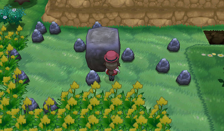 A Strength based puzzle on Route 10 / Pokémon X & Y