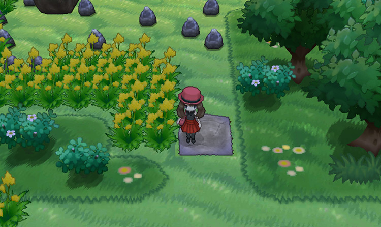 A path opens up once the big boulder is pushed into the hole using Strength / Pokémon X & Y