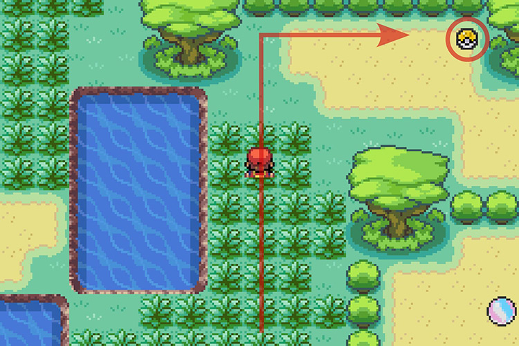 Finding TM047 next to a tree. / Pokémon Radical Red