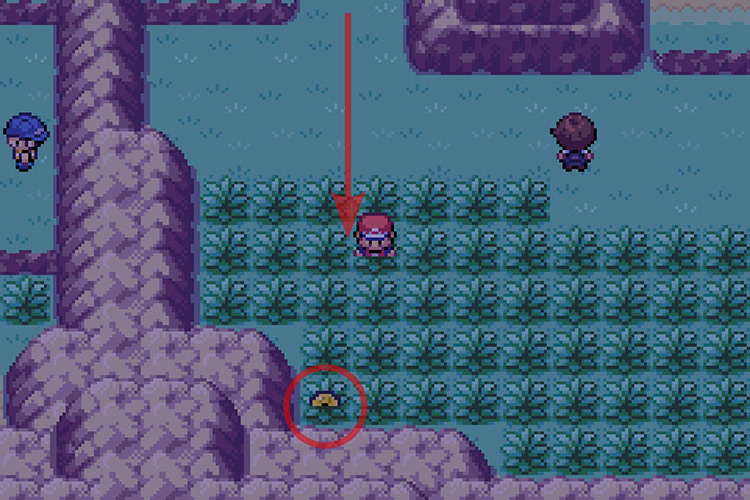 Finding the TM for Teleport hidden in a grass patch. / Pokémon Radical Red
