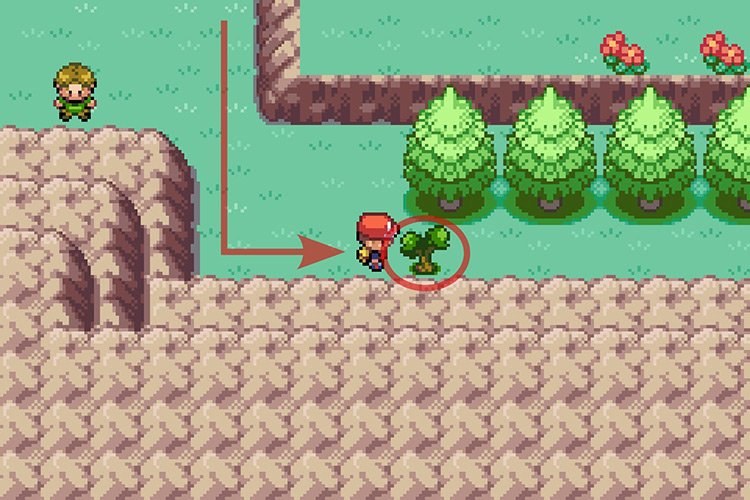 Using Cut on the small tree. / Pokémon Radical Red