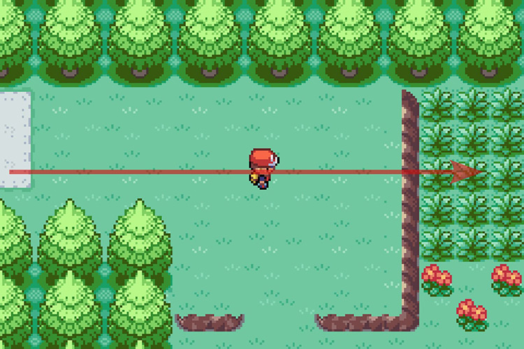 Jumping down from the ledge on Route 7. / Pokémon Radical Red