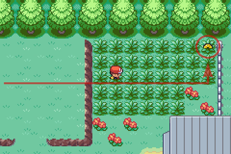 Finding TM062 on Route 7. / Pokémon Radical Red