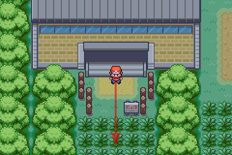 Going South after entering Viridian Forest. / Pokémon Radical Red