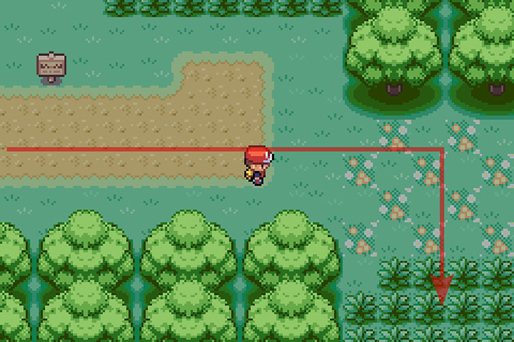 Taking the path South after the brown Trainer Tips sign. / Pokémon Radical Red