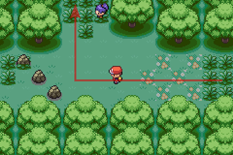 Going North instead of taking the path with the smashable rocks. / Pokémon Radical Red