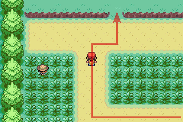Walking in between two ledges. / Pokémon Radical Red