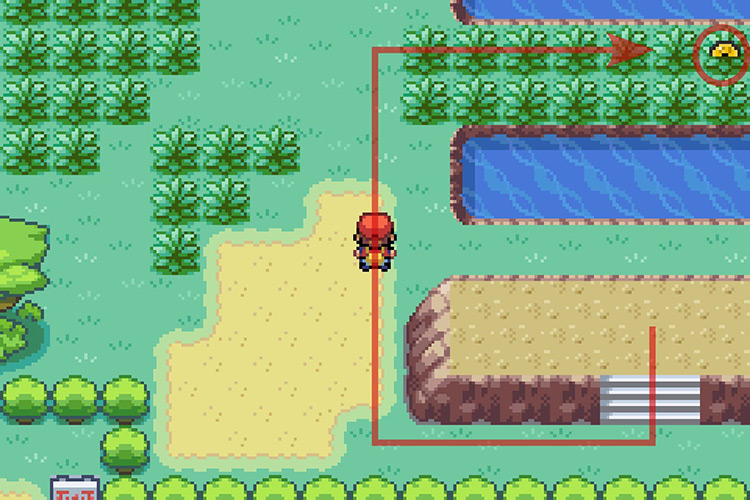 Finding TM011 hidden in a patch of grass / Pokémon Radical Red