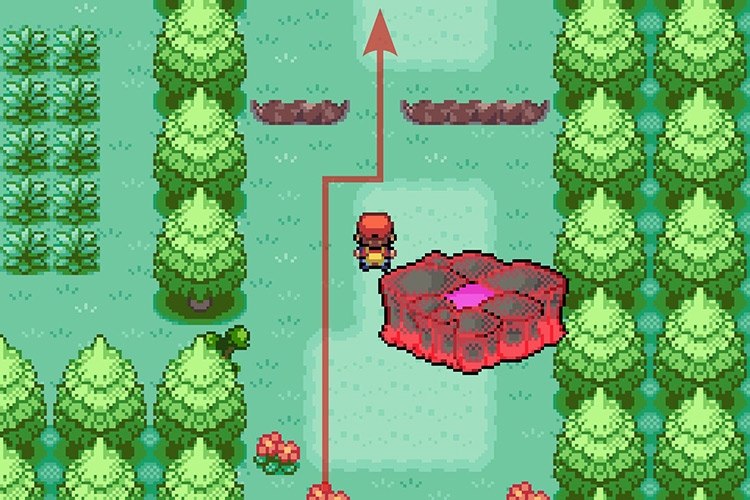 Crossing the raid den / Pokémon Radical Red