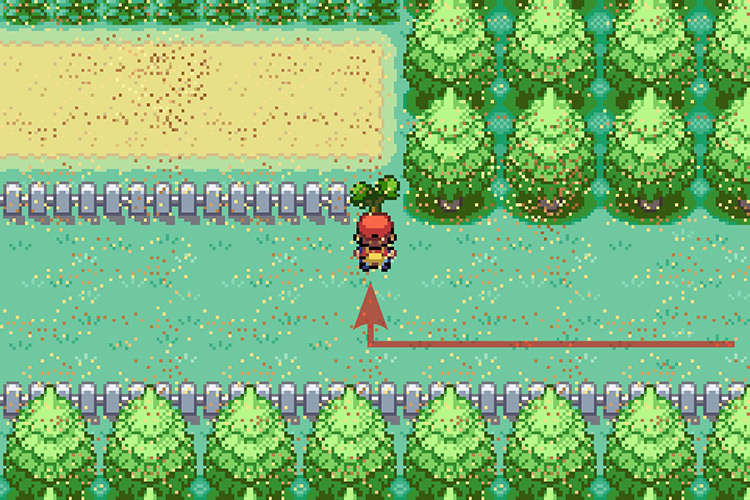 Using Cut on the tree blocking the path North / Pokémon Radical Red