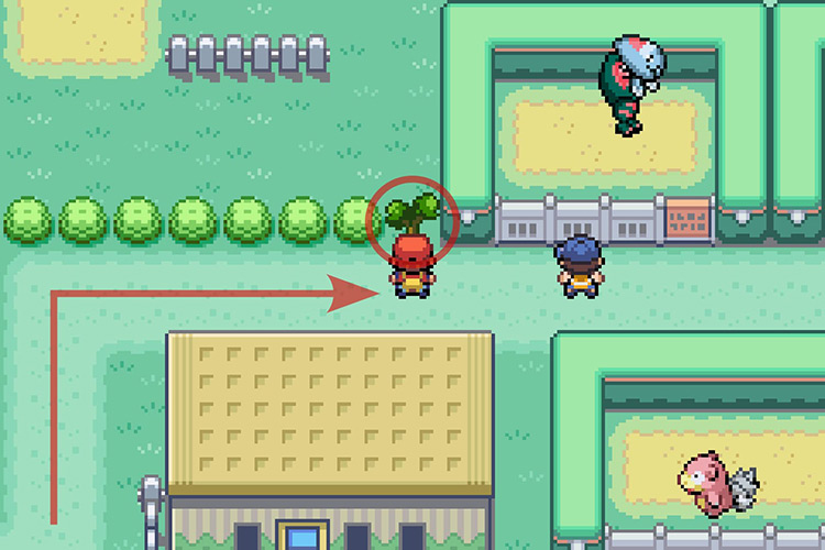 Using Cut on another tree behind a building with a brown roof / Pokémon Radical Red
