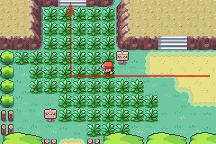 Taking the second set of stairs up / Pokémon Radical Red