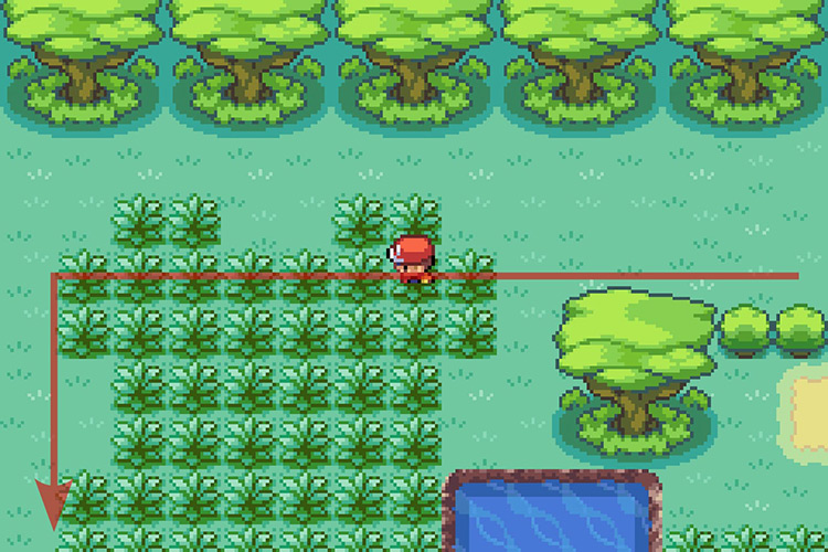 Going South when the path West gets blocked by trees / Pokémon Radical Red