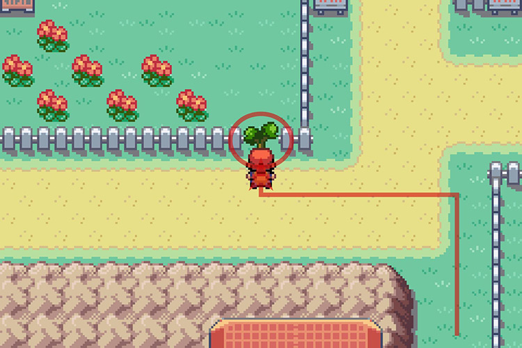 Using Cut on the small tree in between two fences / Pokémon Radical Red