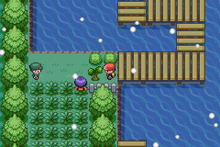 Going South until the path forward is blocked by a small tree / Pokémon Radical Red