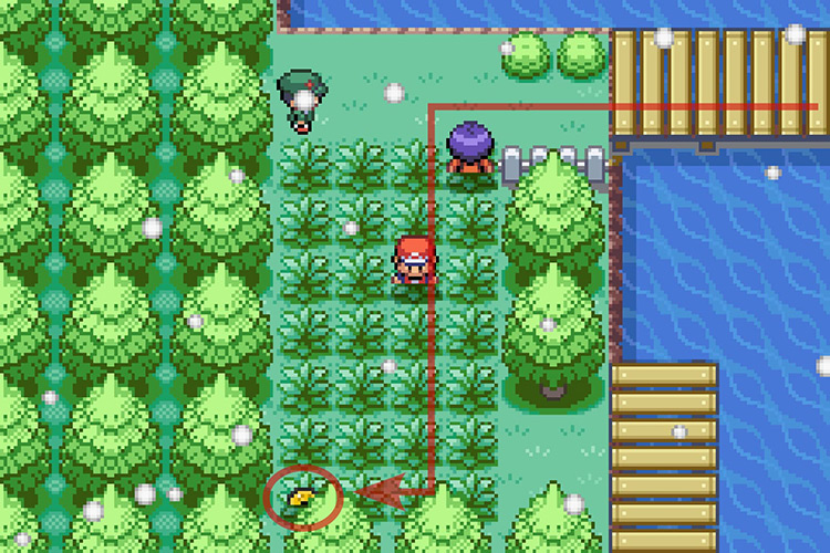 Finding the TM for Calm Mind in a patch of grass / Pokémon Radical Red