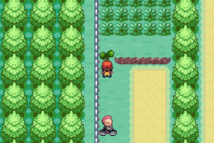 Using Cut on the tree blocking the path forward / Pokémon Radical Red