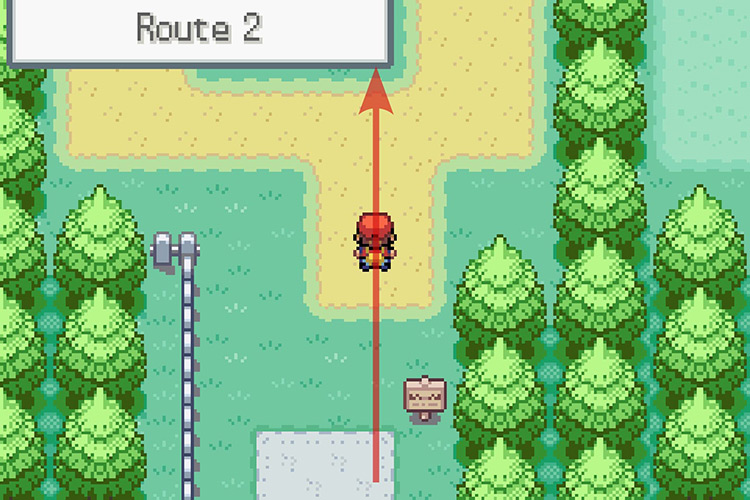 Entering Route 2. / Pokémon Radical Red