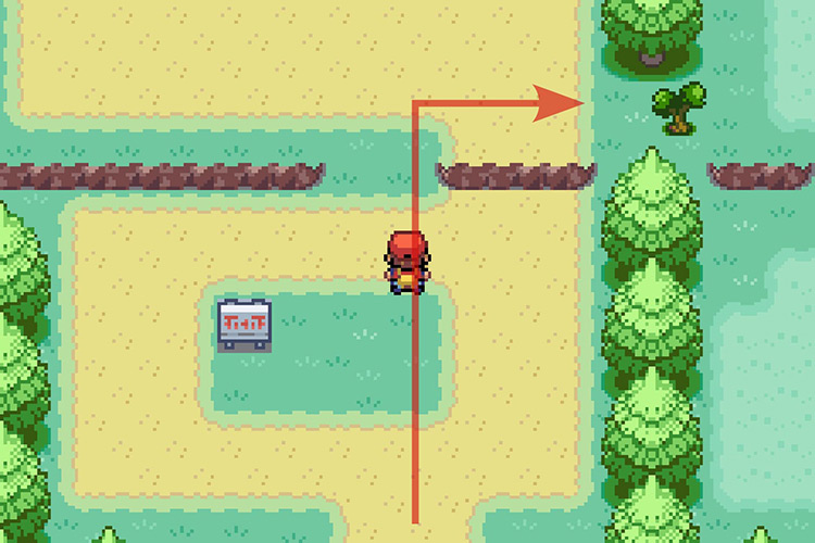 Turning right after walking in between the ledges. / Pokémon Radical Red