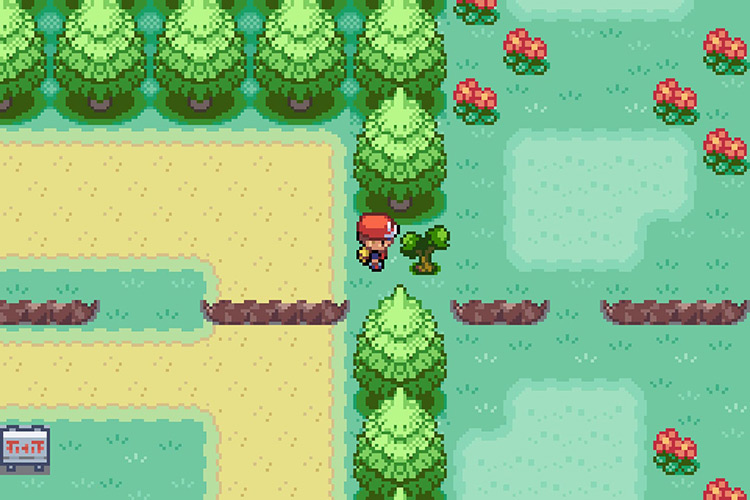 The tree you have to use HM01 Cut on. / Pokémon Radical Red
