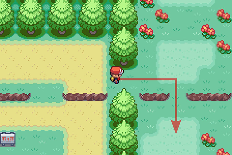Going down after cutting the tree. / Pokémon Radical Red