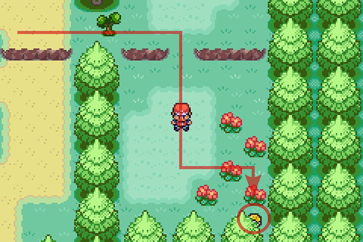 TM057 Charge Beam hidden in the corner of the path. / Pokémon Radical Red