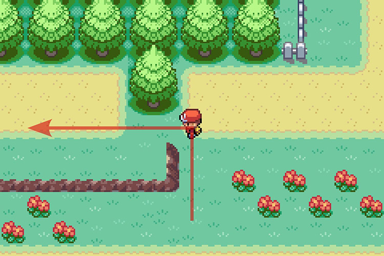 Cutting down the tree and going through the gap. / Pokémon Radical Red