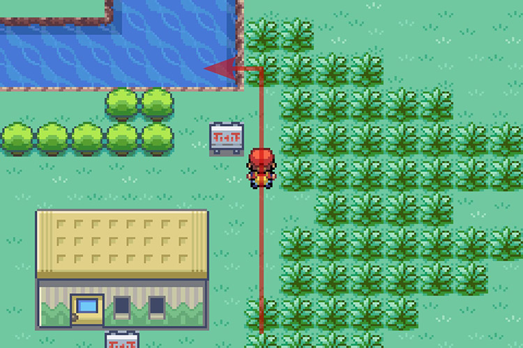 Using Surf to get on the water. / Pokémon Radical Red