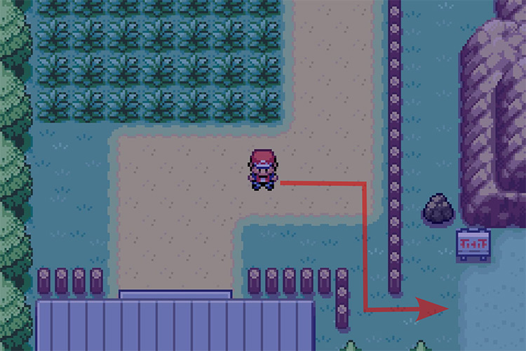 Entering the small gap in Route 2. / Pokémon Radical Red