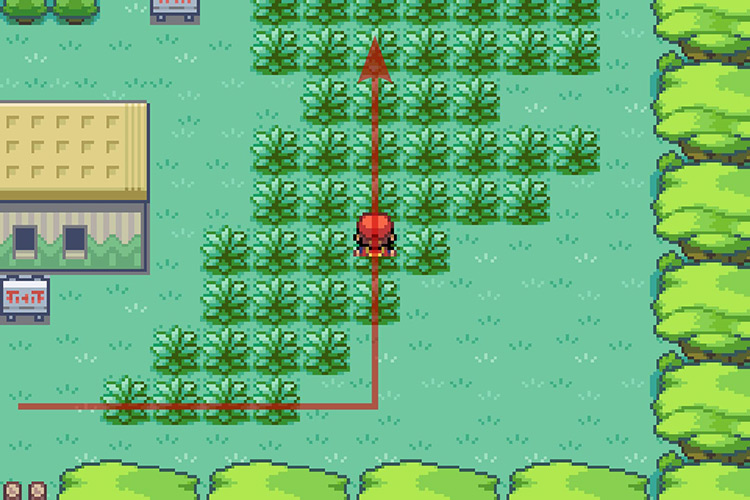 Turning North after walking past the rest house. / Pokémon Radical Red