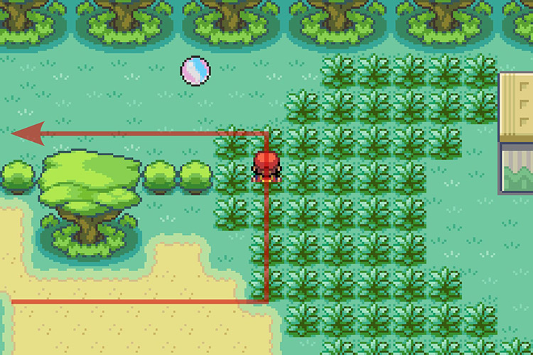 Going around the bushes and continuing West. / Pokémon Radical Red