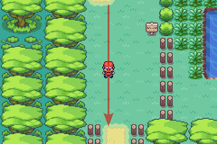 Walking through the entrance of Area 3. / Pokémon Radical Red