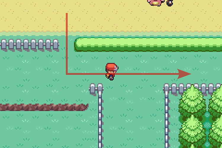 Heading right after using Cut on the tree. / Pokémon Radical Red