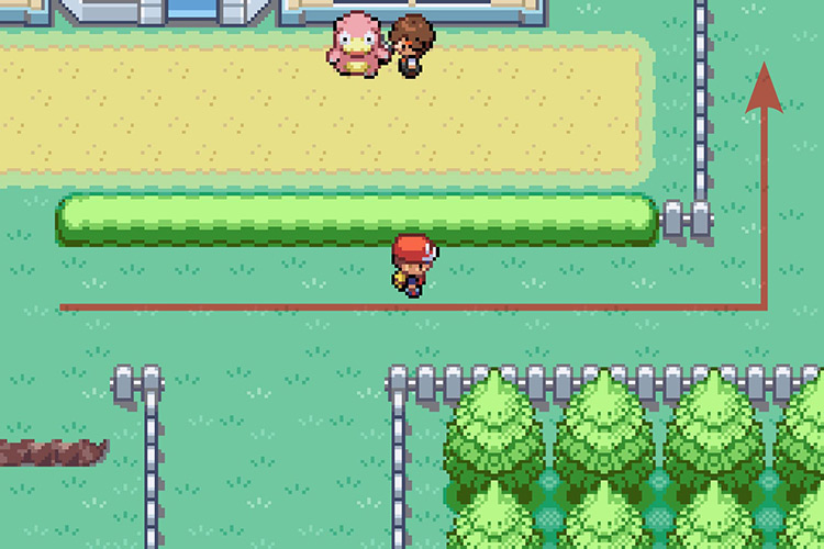 Going up after the path right ends. / Pokémon Radical Red