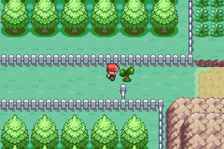 Another tree blocking the path forward. / Pokémon Radical Red