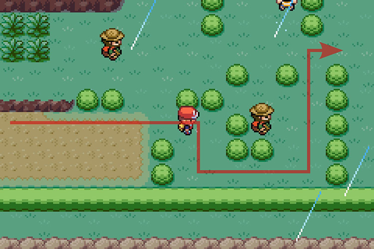 Heading into the grass maze. / Pokémon Radical Red
