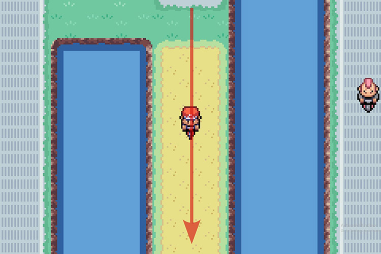 Following the path in between the two ponds / Pokémon Radical Red