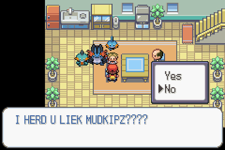 Answering the Dumbass Kid with “No” twice to initiate a battle. / Pokémon Radical Red