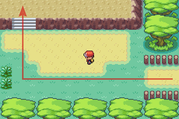 Going onto the platform to the North. / Pokémon Radical Red