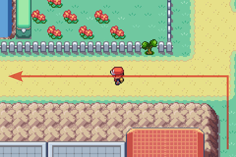 Following the path going left. / Pokémon Radical Red