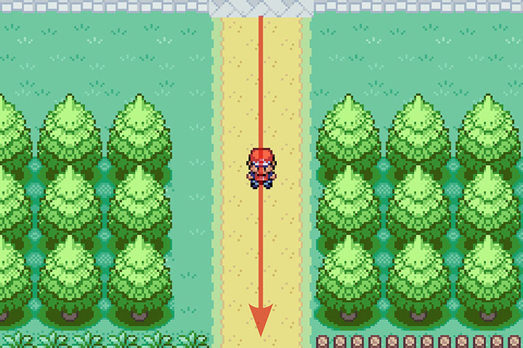 Following the path South to enter Route 2. / Pokémon Radical Red