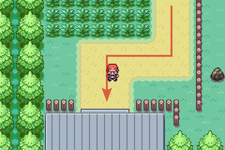 Entering the connector. / Pokémon Radical Red